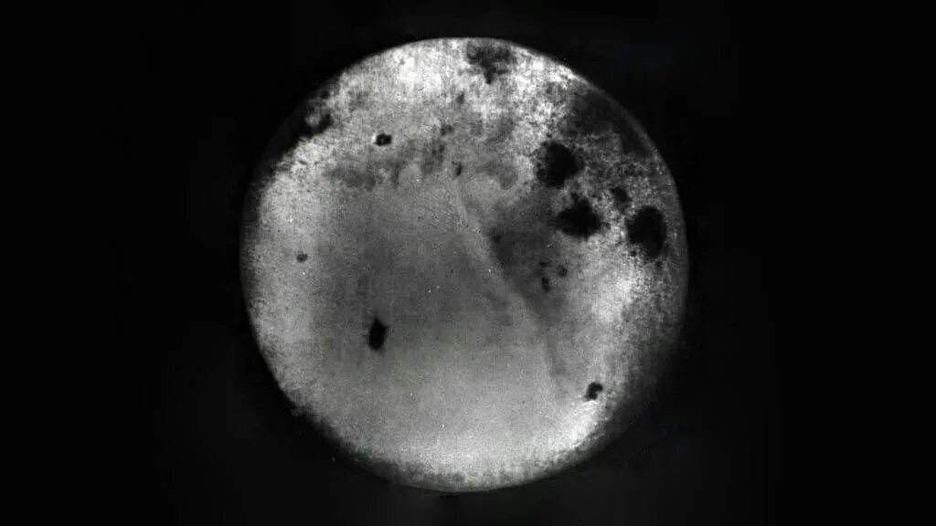 Обратная сторона луны есть. Луна 3 снимки обратной стороны Луны. Обратная сторона Луны первый снимок 1959. Темная сторона Луны 1959. Фотография обратной стороны Луны 1959.