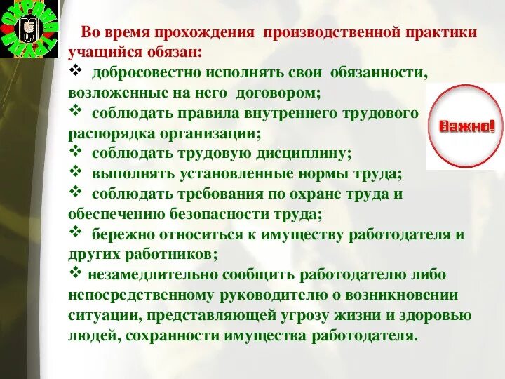 Организация и проведение учебной практики. Техника безопасности на производственной практике. Порядок прохождения производственной практики. Практика ТБ. Охрана труда на практике.