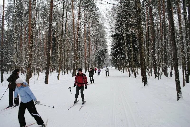 велопрокат терлецкий парк. авангард измайлово лыжи. мещерский парк лыжная трасса. мещерский парк лыжные трассы. сколько стоят в киреевском парке лыжи напрокат.