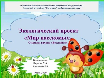 Презентация проекта старшей группе детского сада