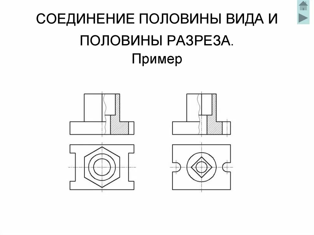 Половые соединения