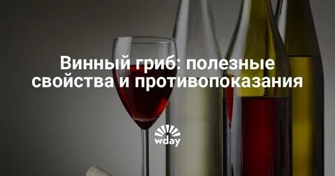 Вино грибы рецепт