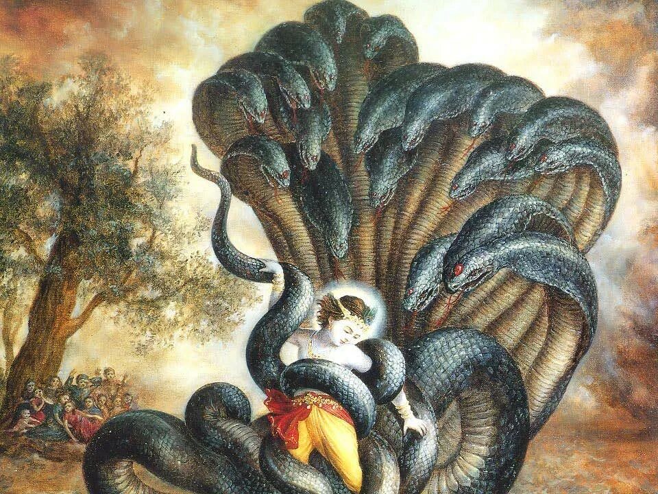 Змея 5 индийский. Змей Ананта Шеша и Кришна. Кришна змей Кали. Кришна и змей калия. Кришна со змеей.