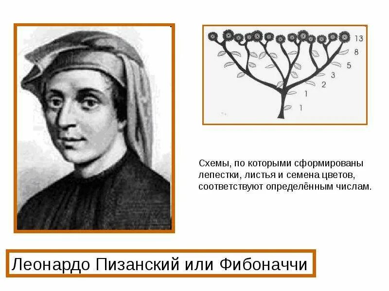 Загадка фибоначчи содержание чем закончится. Леонардо пизанский открытия. леонардо фибоначчи. леонардо пизанский или фибоначчи. леонардо фибоначчи числа.