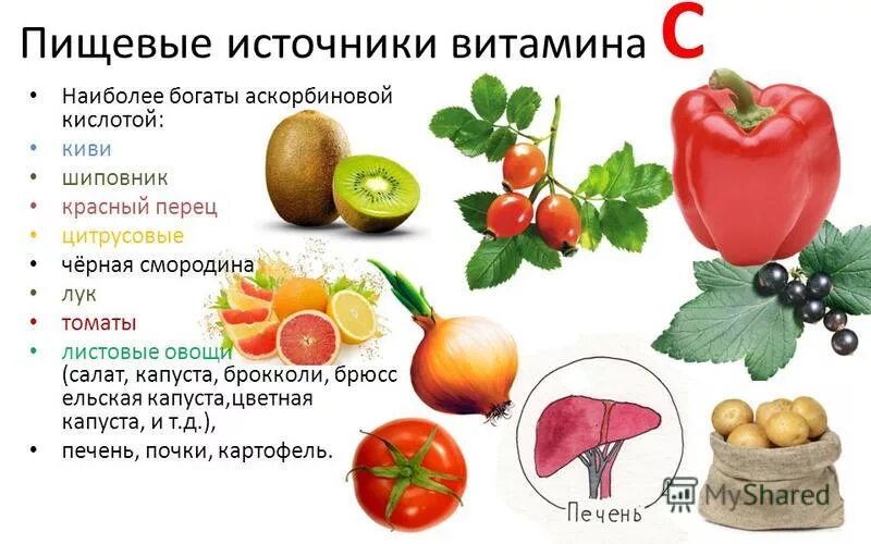 Содержание витамина с. В каких продуктах содержится витамин а список продуктов. Аскорбиновая кислота в чем содержится. Витамины в овощах. Витамины и минералы презентация.