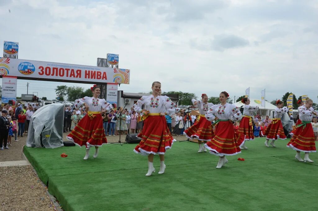 Погода в золотой ниве оконешниковский