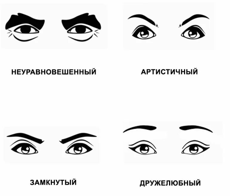 Темперамент по форме бровей. Формы глаз человека. Типы бровей физиогномика. Форма глаз и характер. Поддерживает форму глаза