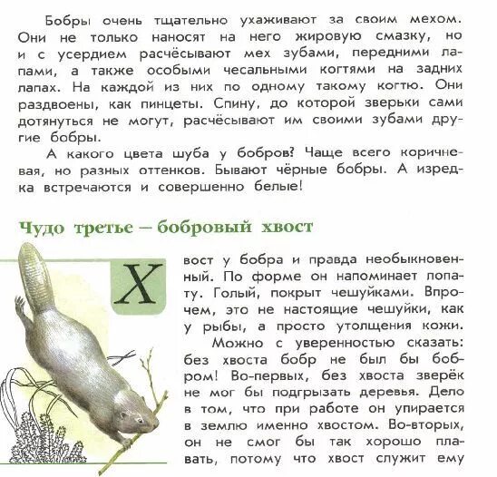 Бобры зеленые страницы окружающий мир. Страницы из книги зеленые страницы о бобрах. Книжка зеленые страницы о бобрах. Книга зеленые страницы рассказ о бобрах. Книга зеленые страницы глава о бобрах.