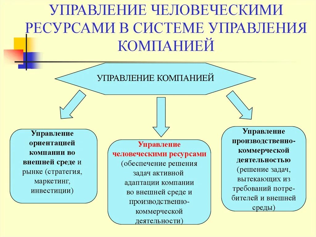 Управление организацией управление ее ресурсами. Управление человеческими ресурсами. Управление человеческими ресурсами в организации. Менеджмент управление человеческими ресурсами. Система управления человеческими ресурсами в организации.