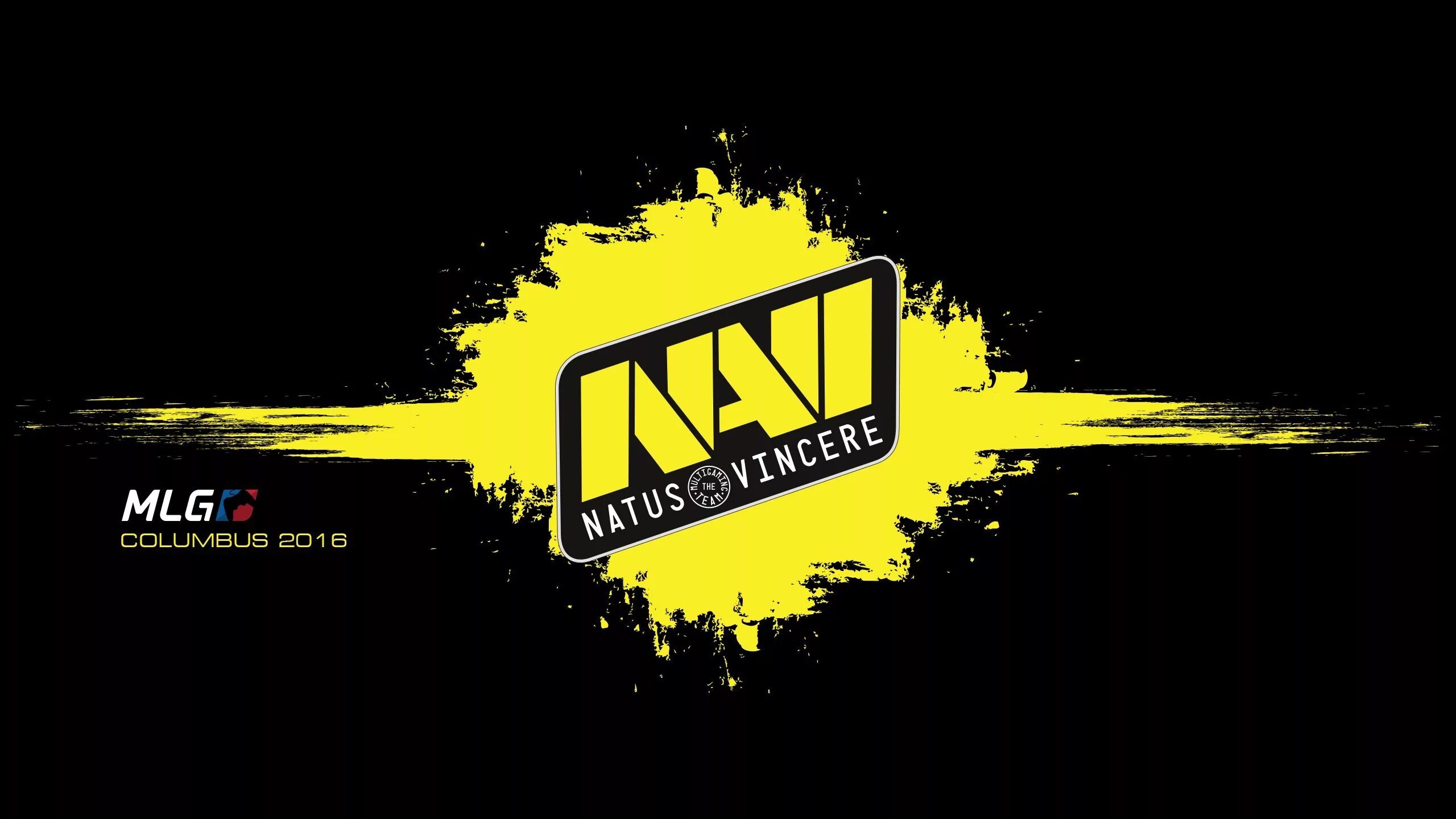Нави логотип 2021. Navi CS go logo. Navi CS 1.6. Натус винсер КС го.