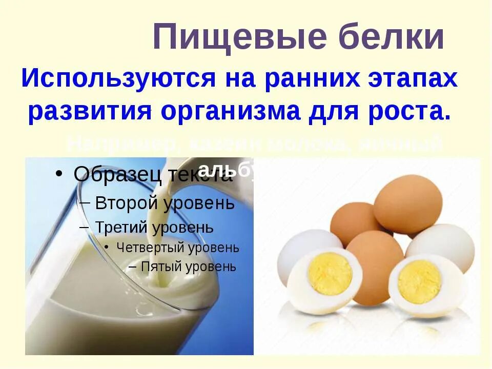 Белковый, углеводный, жировой, водно-солевой обмен. Отметьте верные утверждения пищевые белки. Белки жиры углеводы. Отметьте верные утверждения. Происхождение белков в природе.