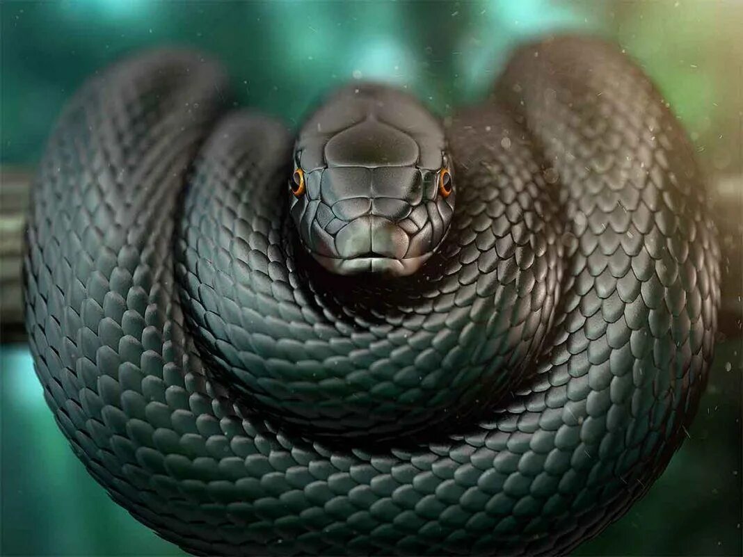 Snake x. Чёрная мамба змея. Ядовитая змея черная мамба. Африканская мамба. Черный Тайпан змея.