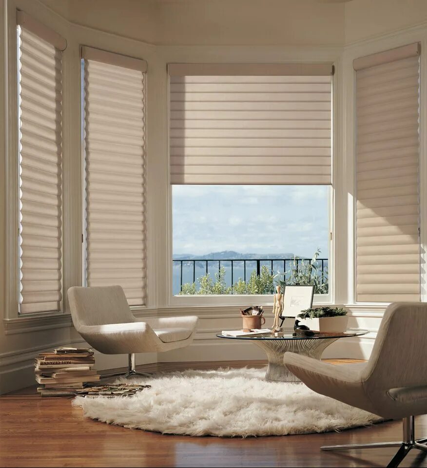 Рулонные снизу вверх. Hunter Douglas рулонные шторы. Жалюзи плиссе снизу вверх. Оконные жалюзи рулонные. Рулонные шторы в интерьере.