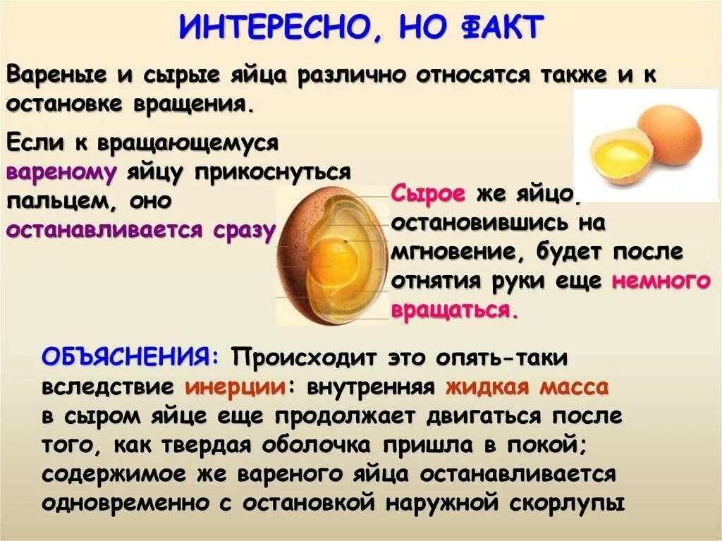 Сколько яиц снесет