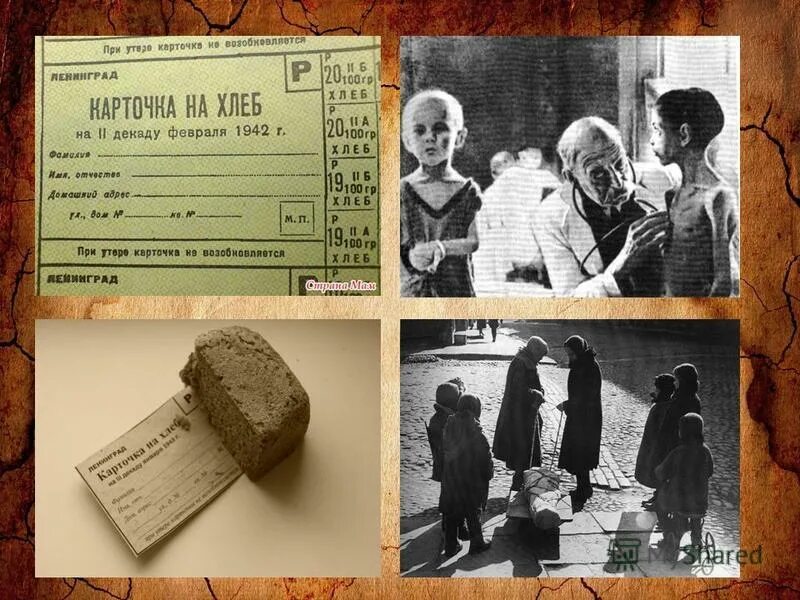 Атрибуты блокады ленинграда. Медаль жителю блокадного ленинграда. Экспозиция к дню снятия блокады. Карточки блокадного ленинграда. Атрибуты блокады ленинграда.