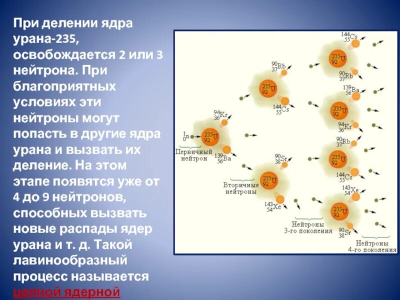 Сколько нейтронов в ядре урана. Цепная реакция урана 235. Цепная реакция деления ядер урана 235. Схема деления ядер урана 235. Механизм деления ядра урана.