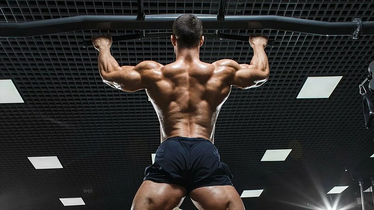 Схема отжиманий от пола с нуля. План тренировки на выносливость. План тренировки пауэрлифтера. Таблица программы тренировок в тренажерном зале. Подходы в тренировках.