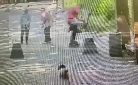 Роллер зацепился за поводок