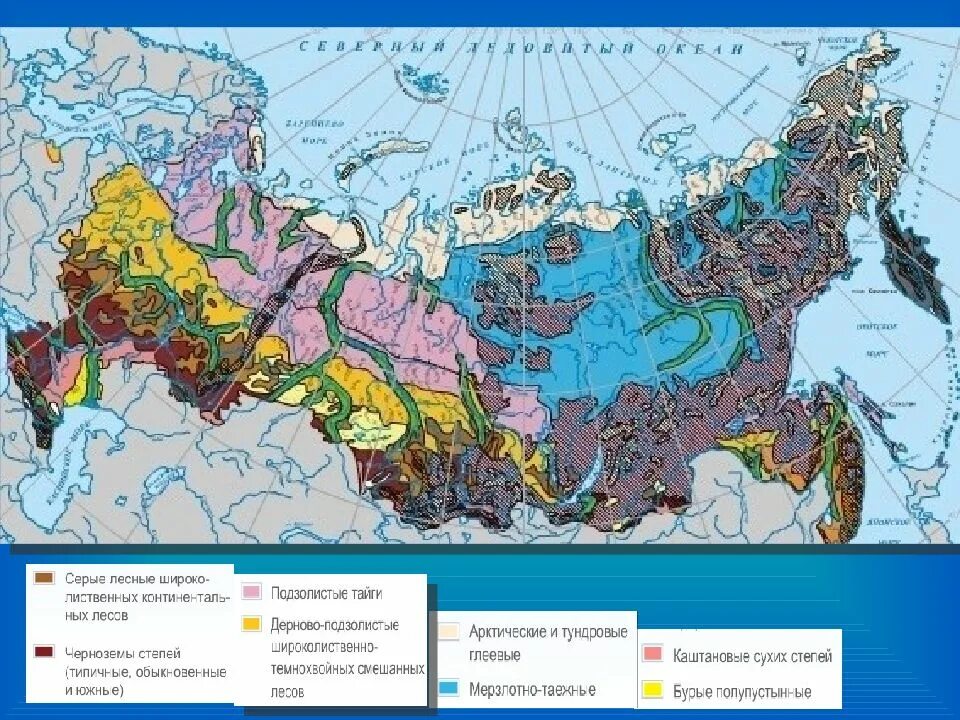 Лучшие почвы россии. Карты карта почв России. Карта плодородия почв России. Самые плодородные почвы России на карте. Плодородные почвы России на карте.