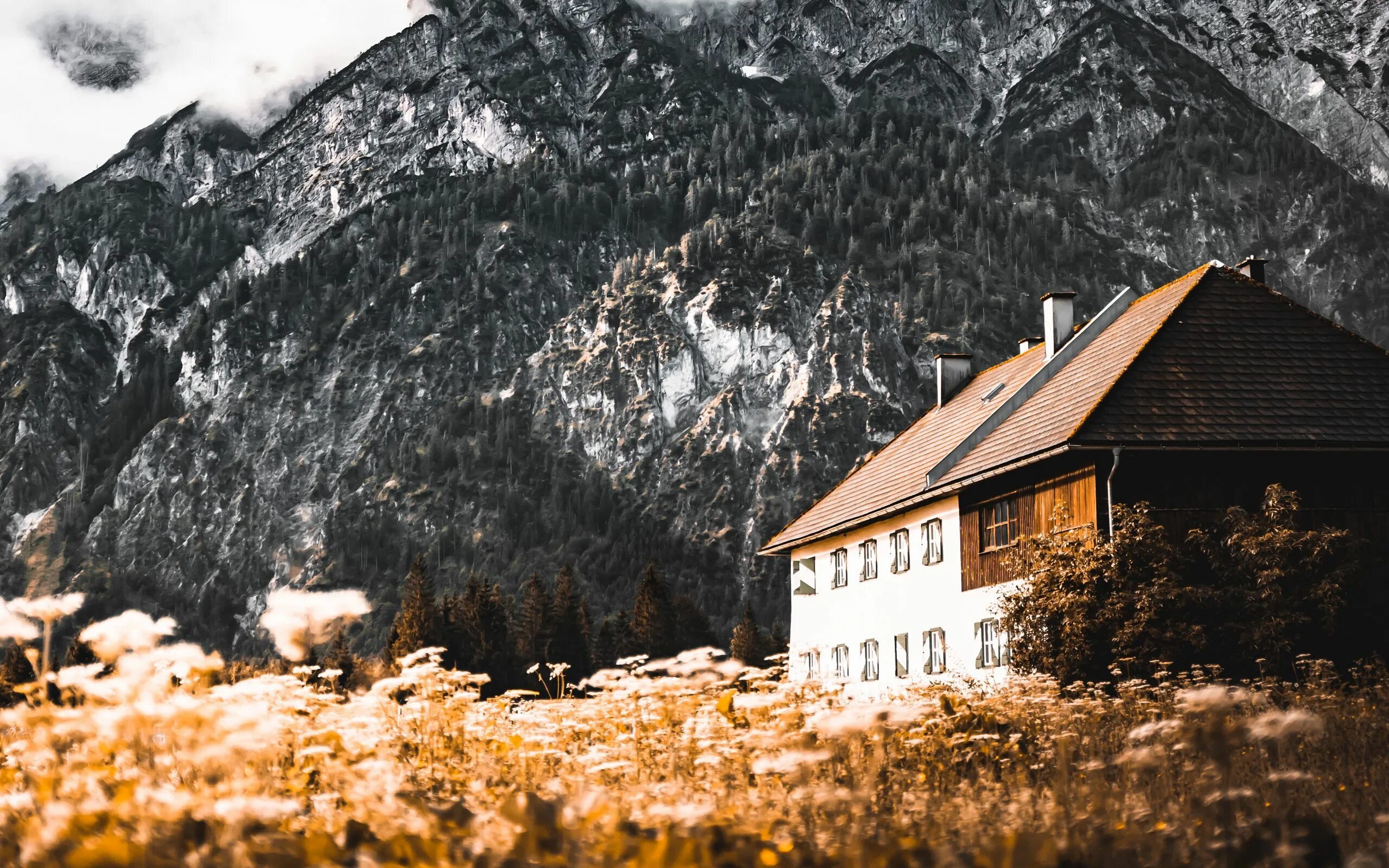 Дом на склоне с односкатной крышей. Одинокий домик. Дом в горах. Алтай хижина горный алтай. Домик на горе.