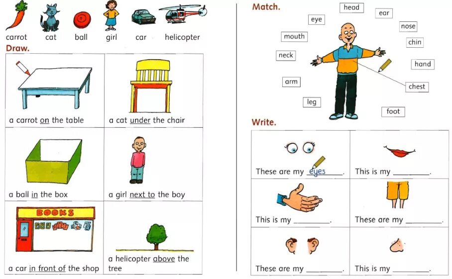 Exams vocabulary. Кембридж тест стартер Worksheets. Yle Starter задание. Starters Cambridge Worksheets. Flyers Grammar Worksheets.