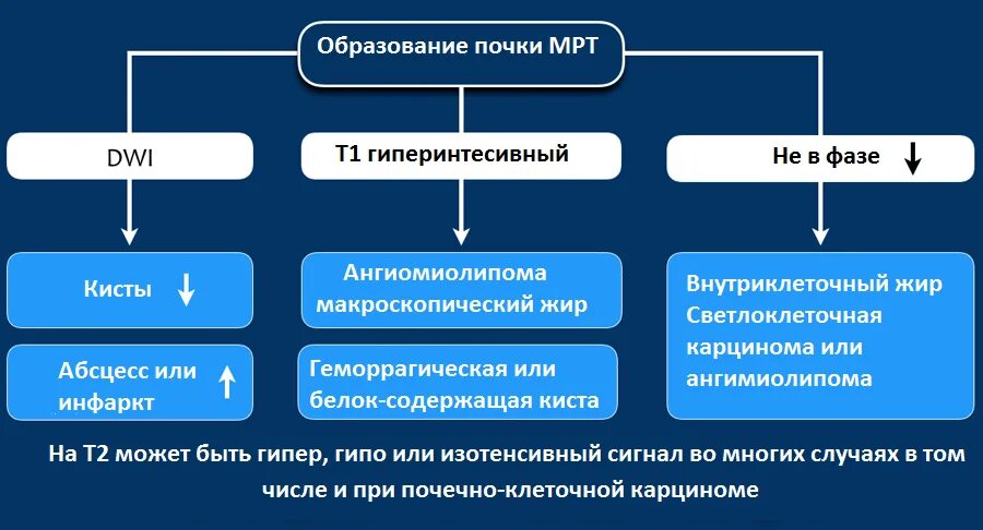Гиперваскулярное образование почки что это такое. Гиперваскулярные образования почки. гиперваскулярное образование почки. солидные гиперваскулярные образования.