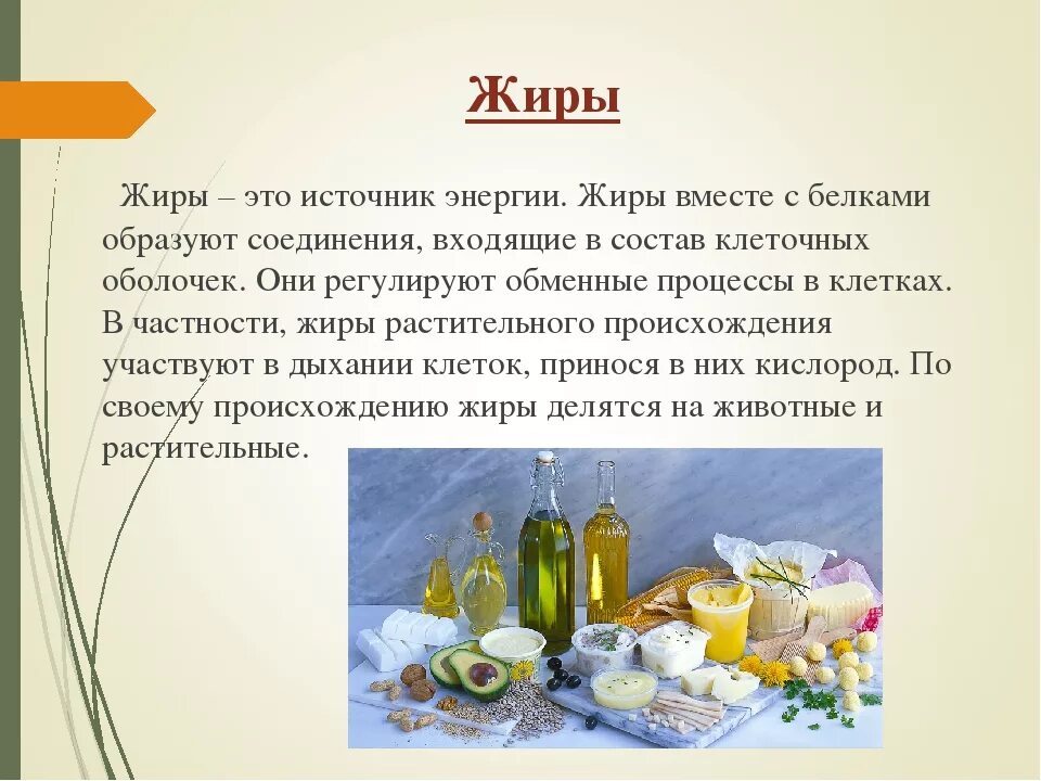Жиры и минеральные соли. Жиры презентация. презентация на тему жиры. жиры это кратко.