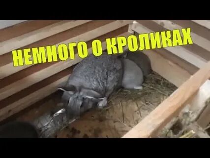 Зачем разводить