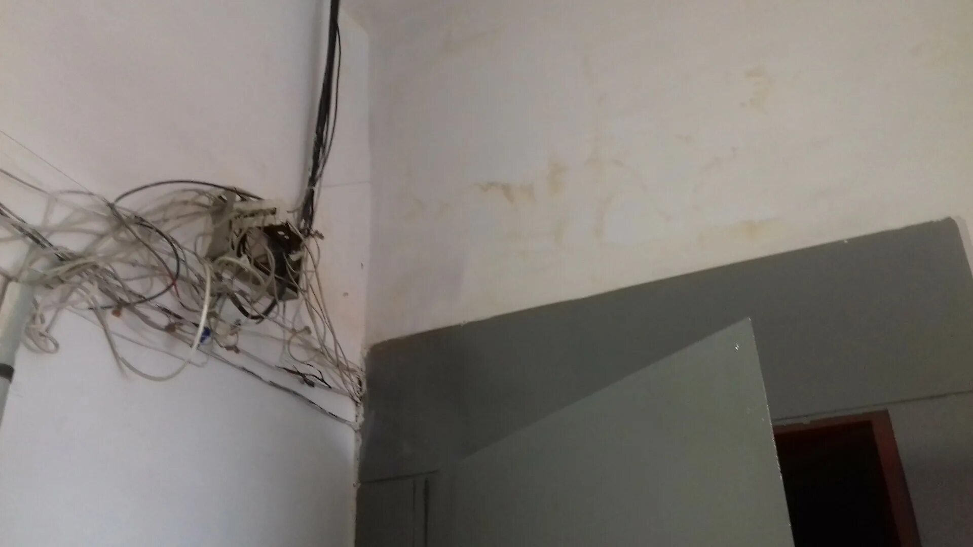 Проводка интернета. Прокладка электропроводки в квартире. Телекоммуникационная стойка. Провода интернет кабеля. Провод для проводного интернета.