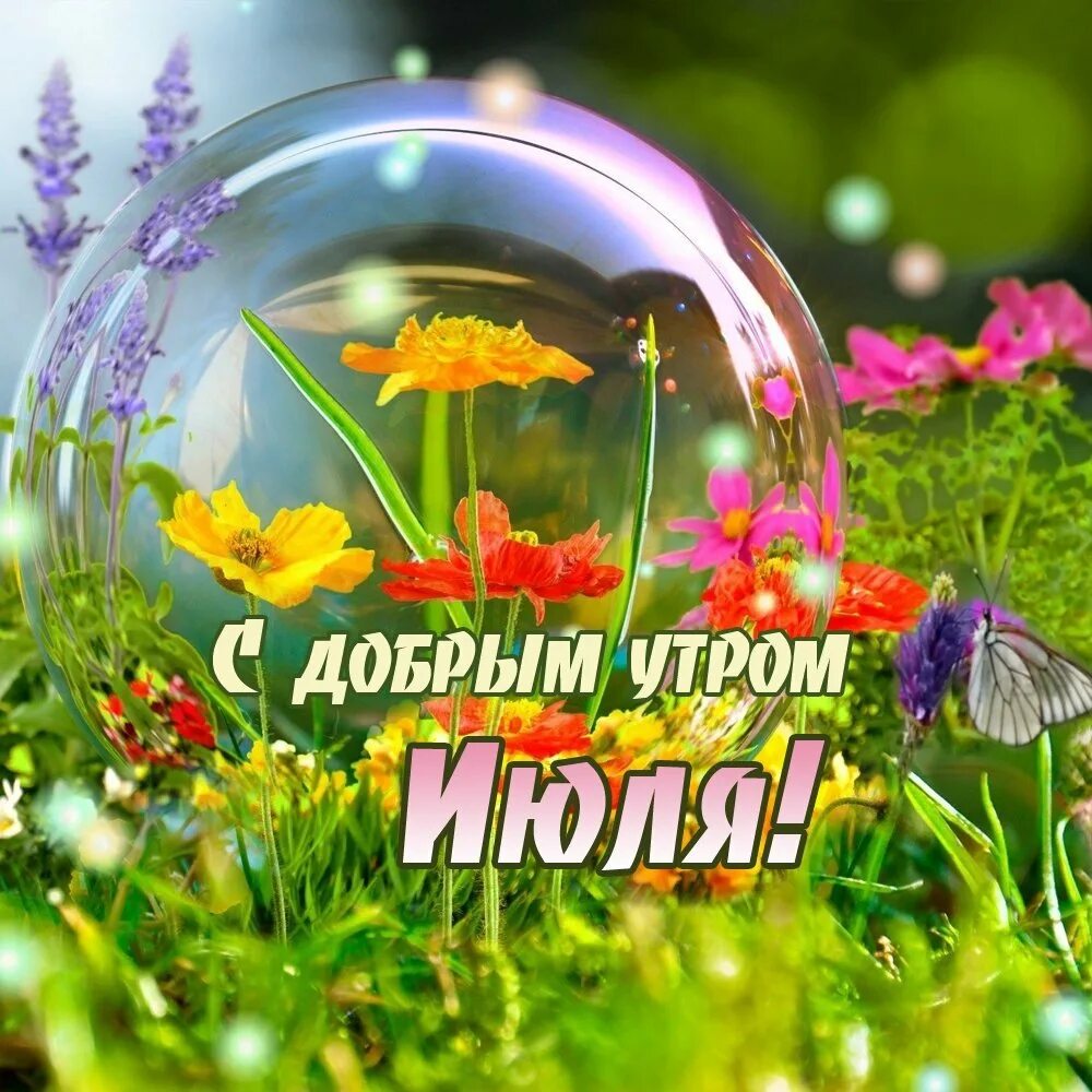 Анимация - Страна красоты Gif Доброе утро, Фруктовые композиции, Флорист