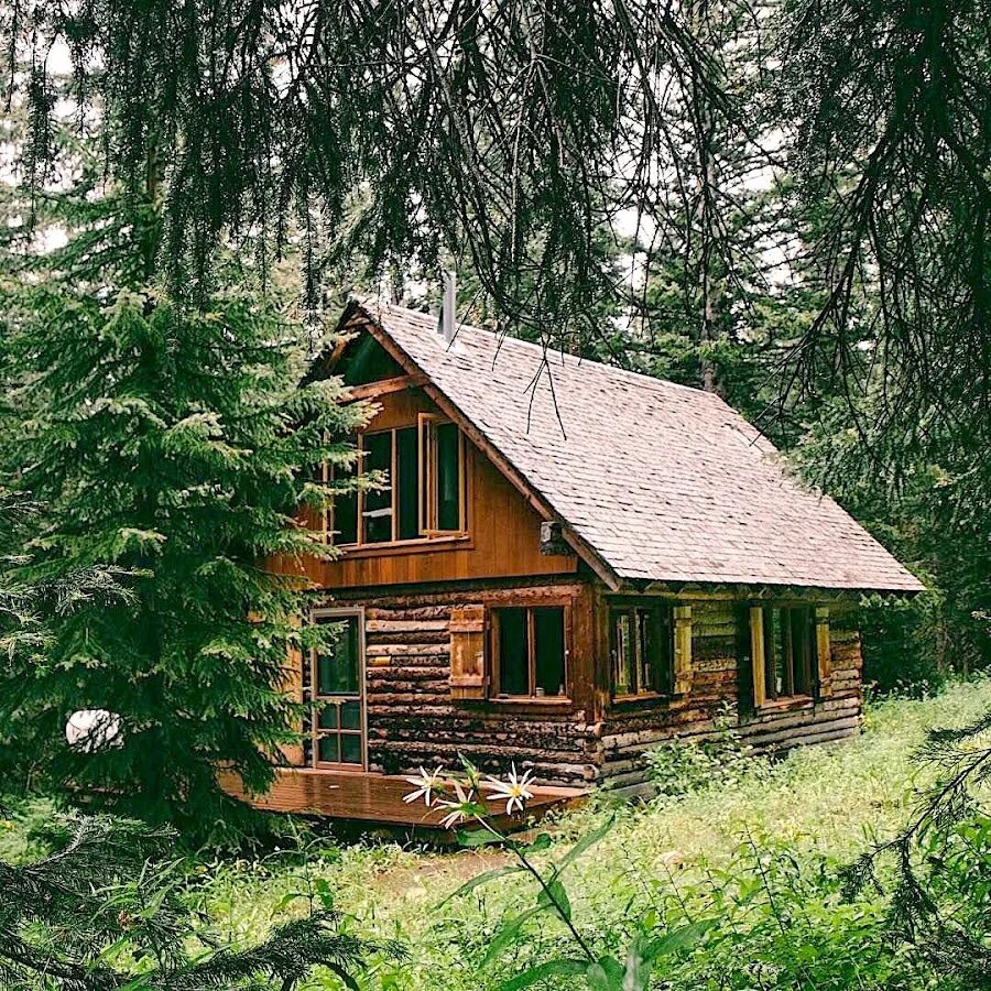 Из лесу из за дома лесничего. Forest Cabin сруб. Лог Кэбин дом. Дом лесника в Канаде. Деревянный дом в лесу.