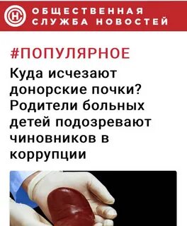 Сколько донорская почка