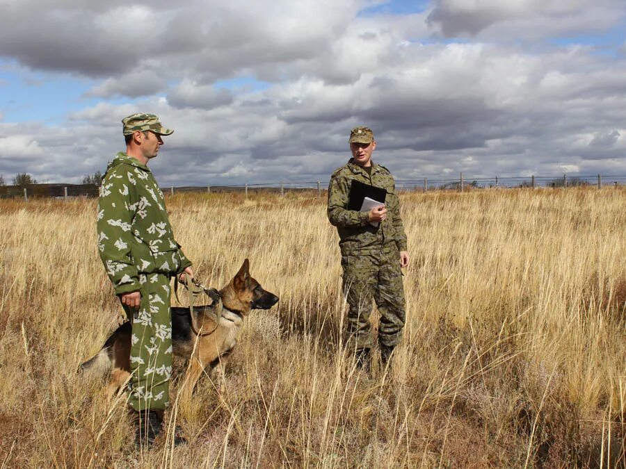 Погран заставы Забайкальского края. Пограничники России. Российские пограничники. Пограничный наряд. Служба на границе с украиной