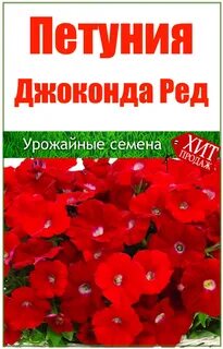 Джоконда алая