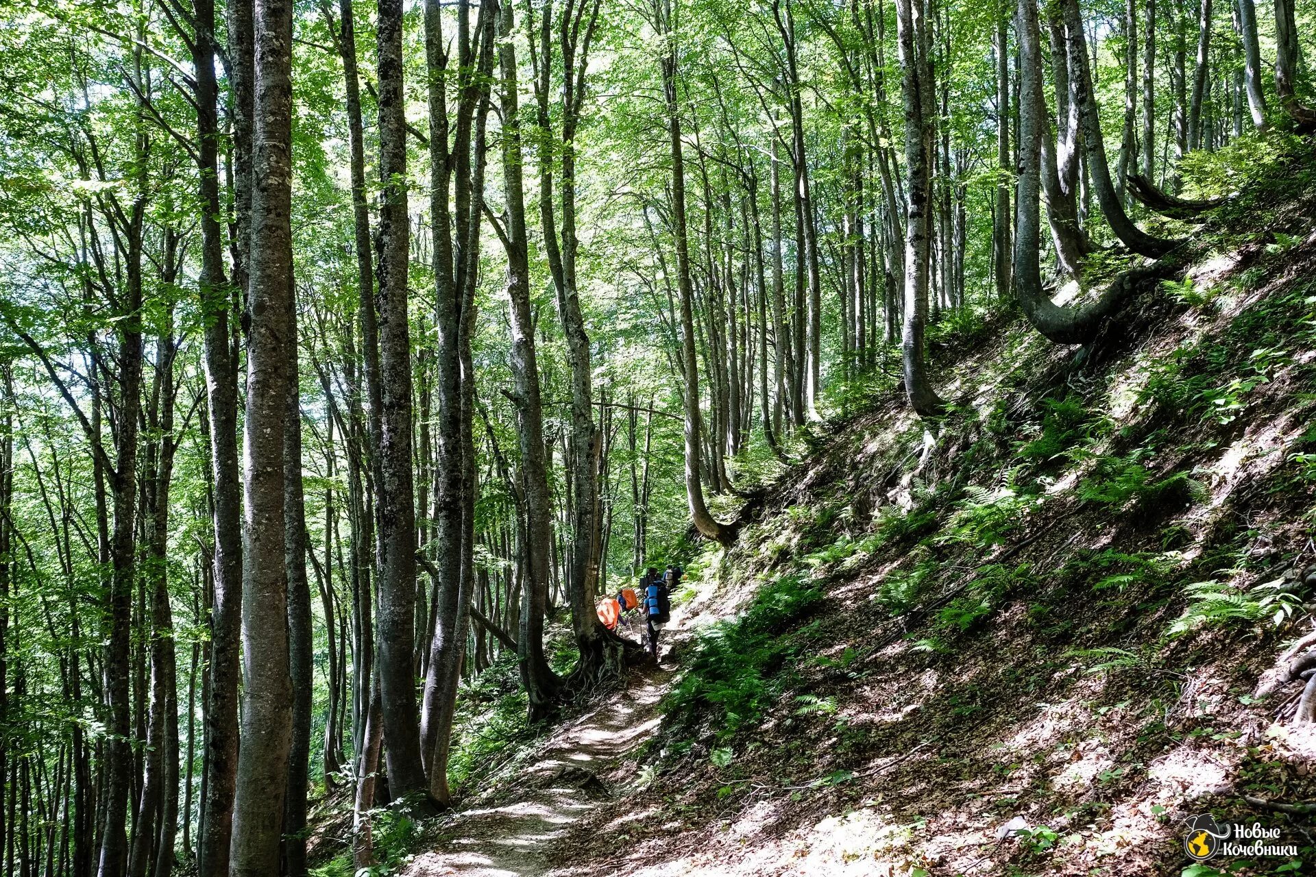 Склон 30. Архыз спуски. Склон 30. Склон 30. Склон 30.