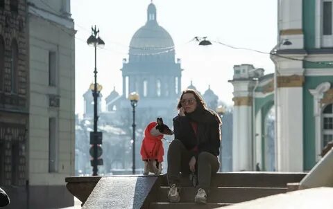 Дети улицы санкт петербурга