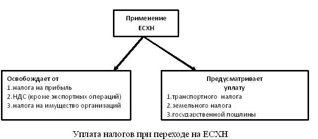 Применение единого сельскохозяйственного налога. ЕСХН схема. ЕСХН система налогообложения. Единый сельскохозяйственный налог (ЕСХН). Элементы налогообложения ЕСХН.