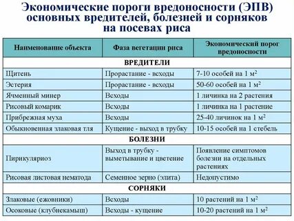 Вредоносность сорняков