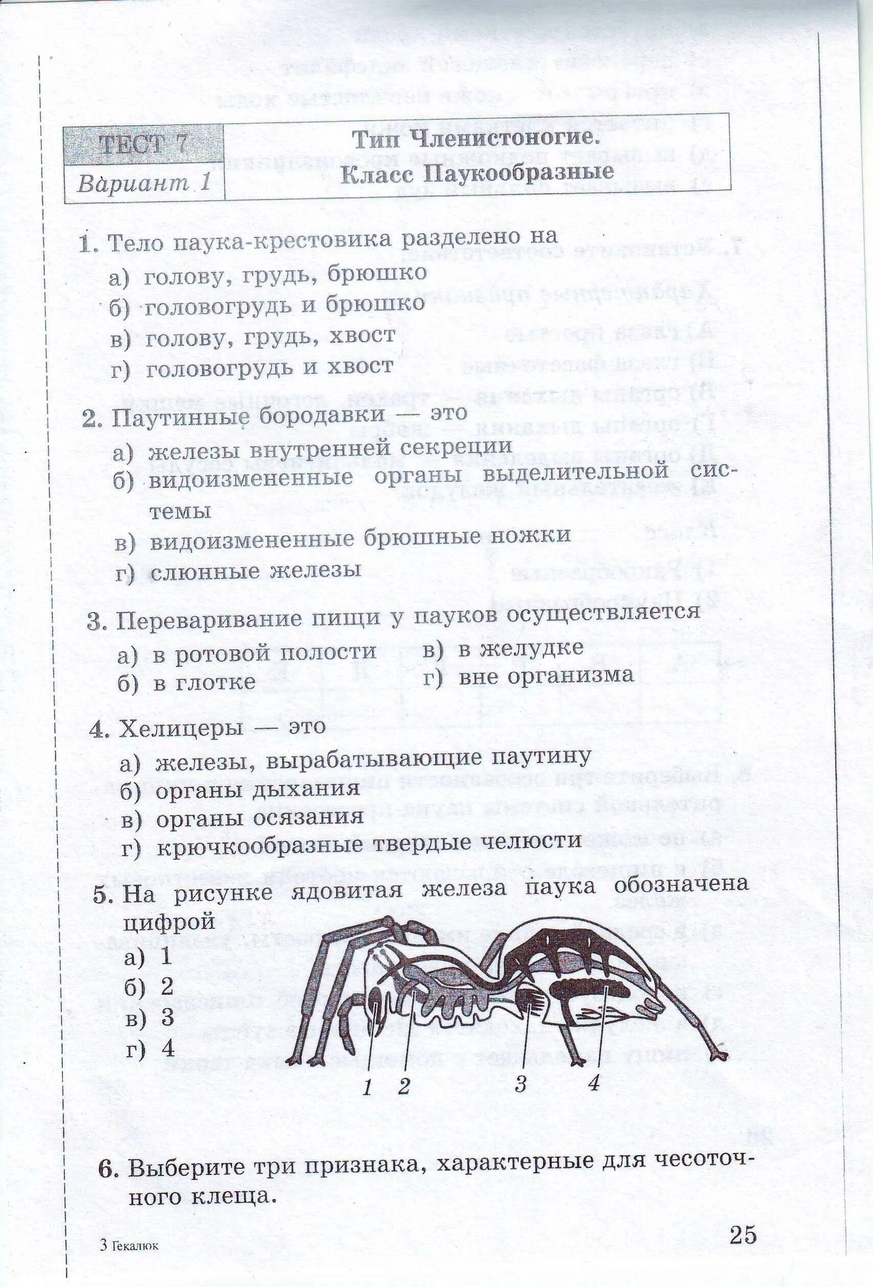 Паукообразные и ракообразные 7 класс биология тест. Тест 7 Тип Членистоногие класс паукообразные. Тесты по биологии 7 класс. Биология 7 класс тесты. Тест паукообразные 7 класс