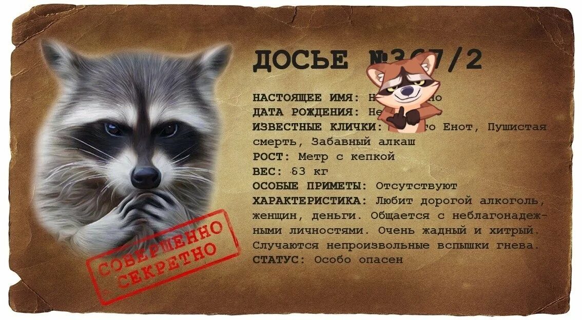 Вредный енот. Енот уголовник. Енот в тюремной. Умный енот