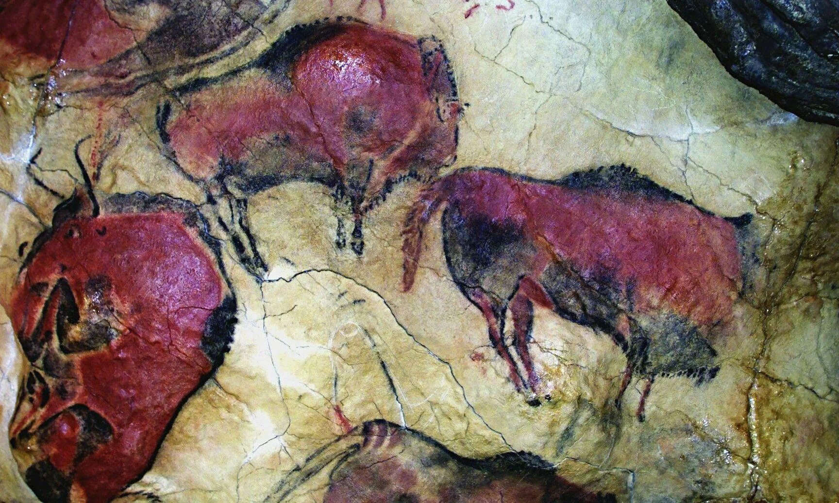 Первобытные краски. Рисунки в пещере Альтамира в Испании. Первобытное искусство пещера Альтамира в Испании. Пещера Альтамира Наскальная живопись. Пещерная живопись из пещеры Альтамира Испания.