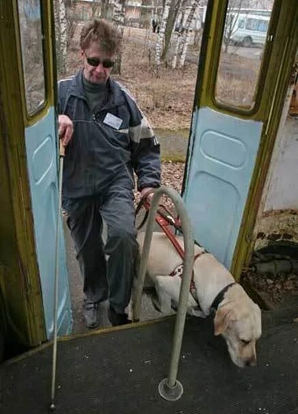 Инвалидов лишат групп. Незрячий человек с собакой в транспорте. Собака поводырь в поезде. Собака поводырь фото. Мужчина и собака поводырь.