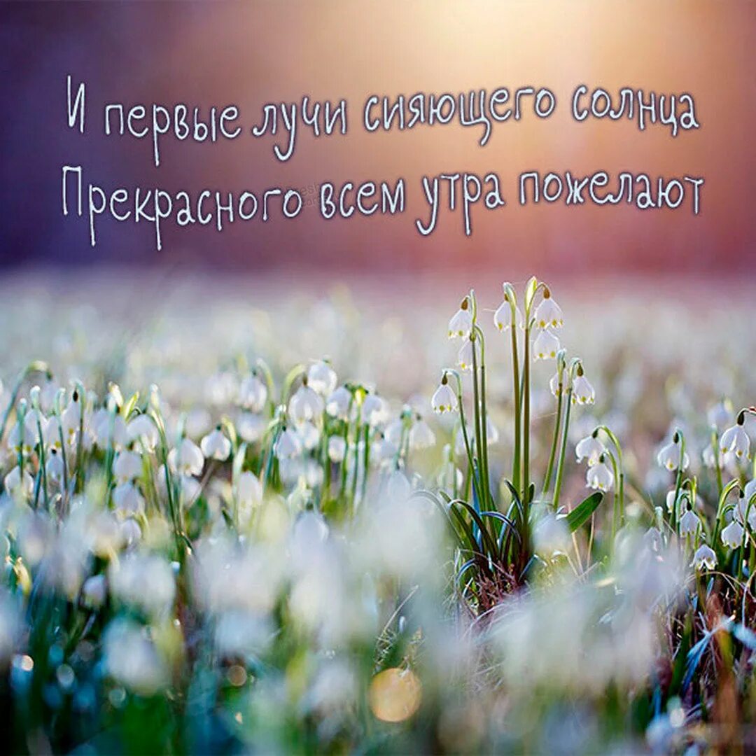 Доброе весеннее утро православные. Доброе Весеннее утро.