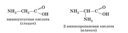 Альфа аминоуксусная кислота. Строение аминоуксусной кислоты. Формула аминоуксусной кислоты. Глицин аминоуксусная кислота формула.