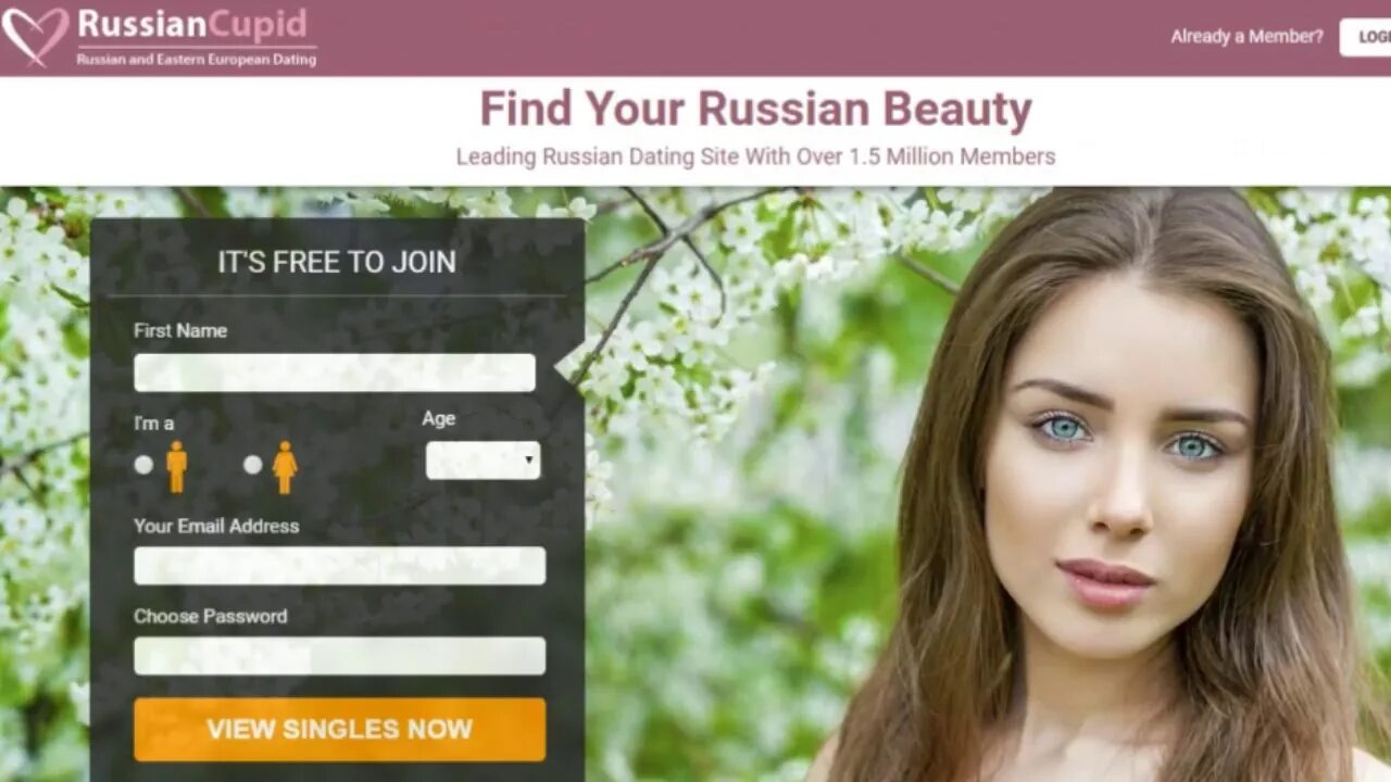 Рашен Купид. Рашен датинг. Russian dating com. Your Russia.