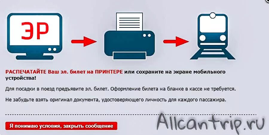 Распечатать жд билеты. Электронный билет на электричку. Электронный билет РЖД. Распечатка билета на поезд. Билет железные дороги электронный.