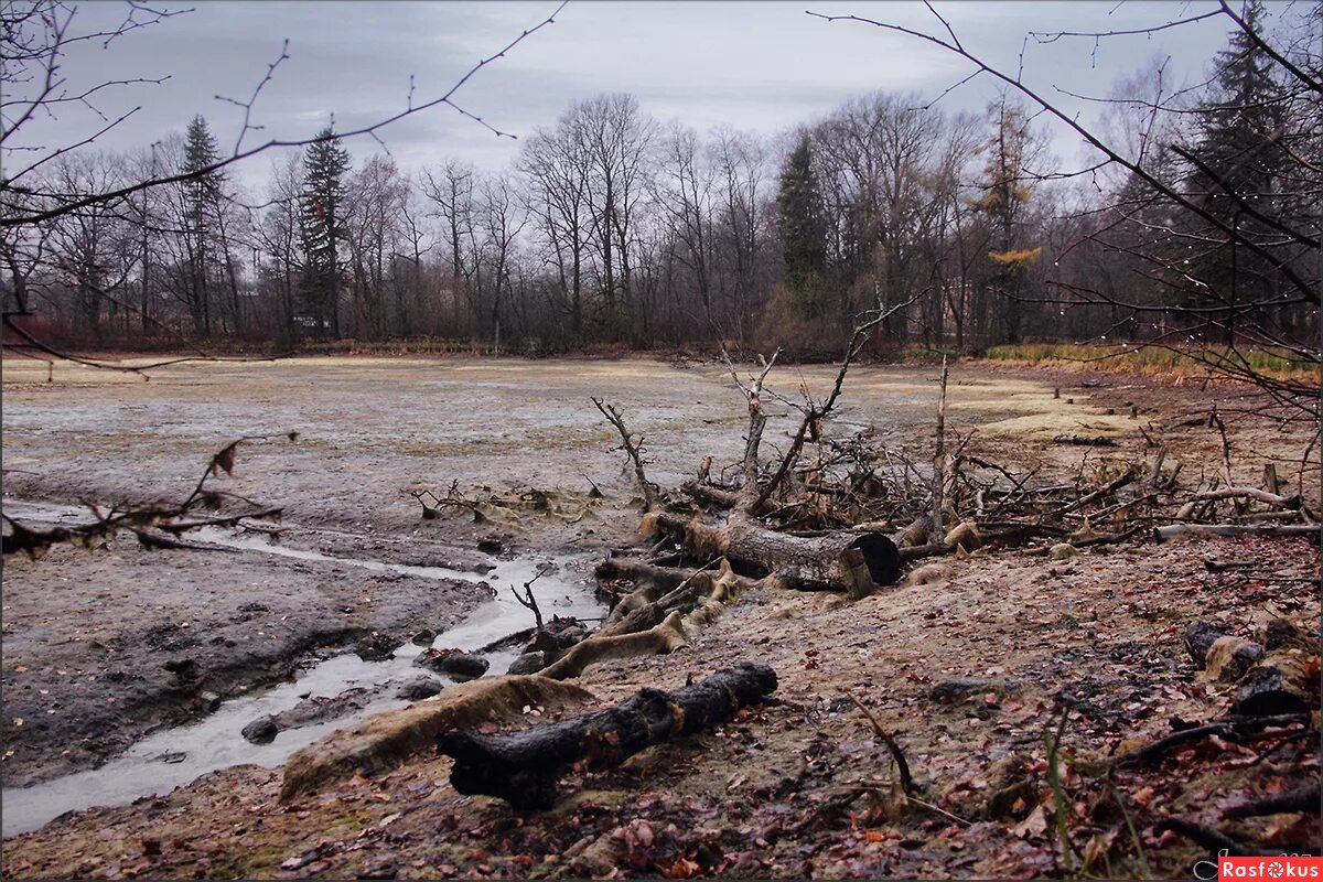 Пересохший водоем