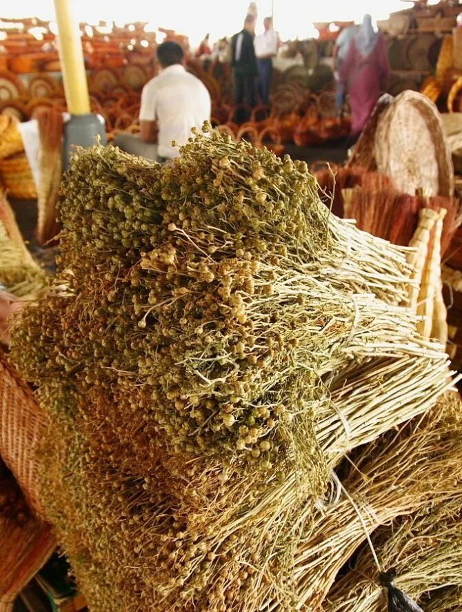 гармала трава исрык. гармала ведьмина трава. гармала(исрык). трава испан. гармала могильник.