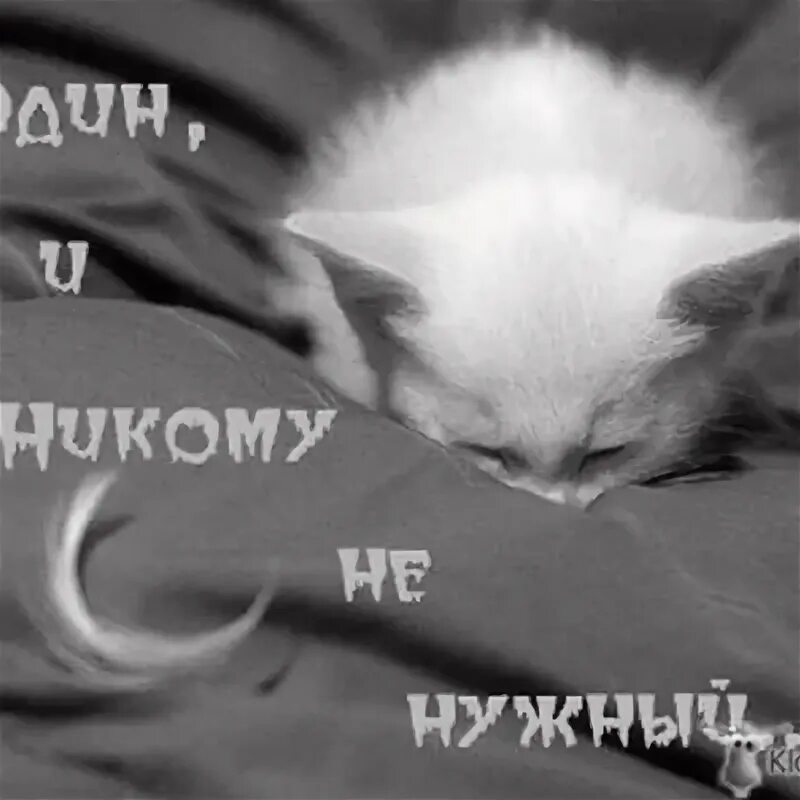 Ты никому не нужен найти выход текст. Я никому не нужен. никому не нужна картинки. никто никому не нужен. мне никто не нужен.