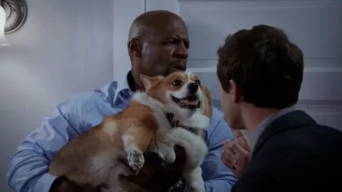 99 dogs